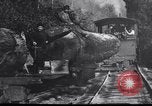 Image of logging operation in America early 1900s United States USA, 1910, second 57 stock footage video 65675028624