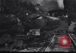 Image of logging operation in America early 1900s United States USA, 1910, second 59 stock footage video 65675028624