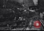 Image of logging operation in America early 1900s United States USA, 1910, second 60 stock footage video 65675028624
