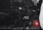 Image of logging operation in America early 1900s United States USA, 1910, second 62 stock footage video 65675028624