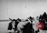 Image of Indian men India, 1915, second 3 stock footage video 65675028628