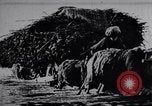 Image of Indian men India, 1915, second 19 stock footage video 65675028628