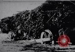 Image of Indian men India, 1915, second 22 stock footage video 65675028628
