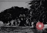 Image of Indian men India, 1915, second 26 stock footage video 65675028628