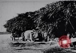 Image of Indian men India, 1915, second 36 stock footage video 65675028628