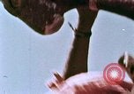 Image of Indian civilians India, 1965, second 6 stock footage video 65675028633
