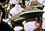 Image of Indian civilians India, 1965, second 27 stock footage video 65675028633