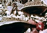 Image of Indian civilians India, 1965, second 30 stock footage video 65675028633