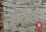 Image of Indian civilians India, 1965, second 4 stock footage video 65675028636