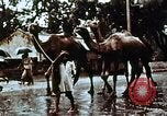 Image of Indian civilians India, 1965, second 6 stock footage video 65675028636