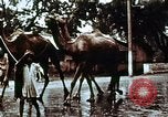 Image of Indian civilians India, 1965, second 7 stock footage video 65675028636