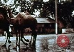 Image of Indian civilians India, 1965, second 8 stock footage video 65675028636