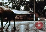 Image of Indian civilians India, 1965, second 9 stock footage video 65675028636