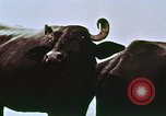 Image of Indian civilians India, 1965, second 11 stock footage video 65675028636