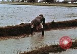 Image of Indian civilians India, 1965, second 12 stock footage video 65675028636