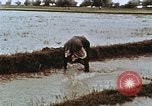 Image of Indian civilians India, 1965, second 13 stock footage video 65675028636