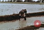 Image of Indian civilians India, 1965, second 14 stock footage video 65675028636