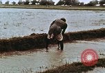 Image of Indian civilians India, 1965, second 15 stock footage video 65675028636