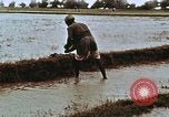 Image of Indian civilians India, 1965, second 17 stock footage video 65675028636