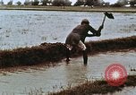 Image of Indian civilians India, 1965, second 18 stock footage video 65675028636