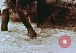 Image of Indian civilians India, 1965, second 19 stock footage video 65675028636