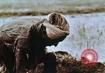 Image of Indian civilians India, 1965, second 21 stock footage video 65675028636