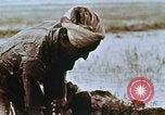 Image of Indian civilians India, 1965, second 23 stock footage video 65675028636