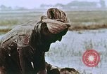 Image of Indian civilians India, 1965, second 24 stock footage video 65675028636