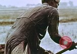 Image of Indian civilians India, 1965, second 26 stock footage video 65675028636