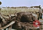 Image of Indian civilians India, 1965, second 27 stock footage video 65675028636