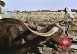 Image of Indian civilians India, 1965, second 29 stock footage video 65675028636