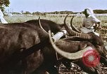 Image of Indian civilians India, 1965, second 30 stock footage video 65675028636