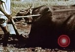 Image of Indian civilians India, 1965, second 33 stock footage video 65675028636