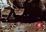 Image of Indian civilians India, 1965, second 34 stock footage video 65675028636