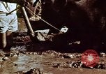 Image of Indian civilians India, 1965, second 35 stock footage video 65675028636