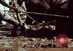 Image of Indian civilians India, 1965, second 36 stock footage video 65675028636