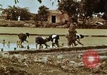 Image of Indian civilians India, 1965, second 39 stock footage video 65675028636