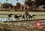 Image of Indian civilians India, 1965, second 40 stock footage video 65675028636