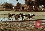 Image of Indian civilians India, 1965, second 43 stock footage video 65675028636