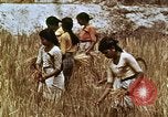 Image of Indian civilians India, 1965, second 45 stock footage video 65675028636
