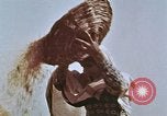 Image des agriculteurs indiens l'Inde, 1965, de la seconde 7 séquences d'archives historiques vidéo 65675028637