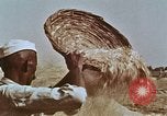 Image des agriculteurs indiens l'Inde, 1965, de la seconde 8 séquences d'archives historiques vidéo 65675028637