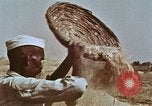 Image des agriculteurs indiens l'Inde, 1965, de la seconde 9 séquences d'archives historiques vidéo 65675028637