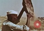 Image des agriculteurs indiens l'Inde, 1965, de la seconde 10 séquences d'archives historiques vidéo 65675028637