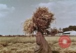 Image des agriculteurs indiens l'Inde, 1965, de la seconde 12 séquences d'archives historiques vidéo 65675028637