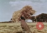 Image des agriculteurs indiens l'Inde, 1965, de la seconde 13 séquences d'archives historiques vidéo 65675028637