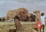 Image des agriculteurs indiens l'Inde, 1965, de la seconde 14 séquences d'archives historiques vidéo 65675028637