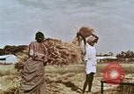 Image des agriculteurs indiens l'Inde, 1965, de la seconde 15 séquences d'archives historiques vidéo 65675028637