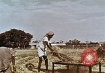 Image des agriculteurs indiens l'Inde, 1965, de la seconde 16 séquences d'archives historiques vidéo 65675028637