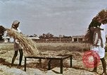 Image des agriculteurs indiens l'Inde, 1965, de la seconde 18 séquences d'archives historiques vidéo 65675028637